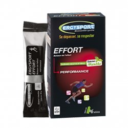 Acheter ERGYSPORT Effort Boisson Etui 6 Sticks /gout menthe