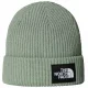 THE NORTH FACE Salty Lined Beanie /slate moss