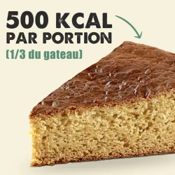 OVERSTIMS Gatosport Chocolat Pépites 400g