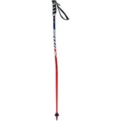 SWIX Batons Wc Jr Sg Premium Aluminium - SWIX