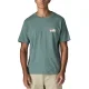 PATAGONIA 73 Skyline T-Shirt /bleu sage