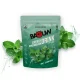 BAOUW Boisson Isotonique 585G /menthe mélisse