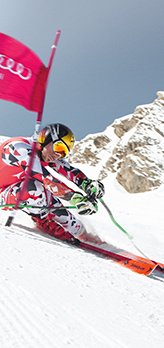Etabli support de ski pour fartage et entretient — Wikifab
