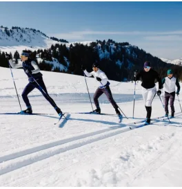Nordic Ski