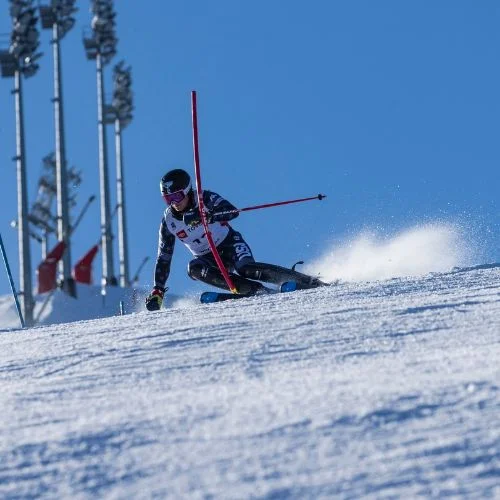 Ski alpin