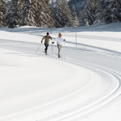 Ski de fond 2026