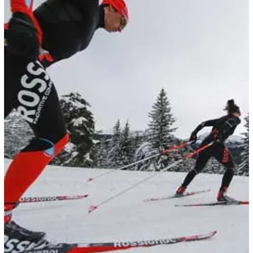 skis fond rossignol